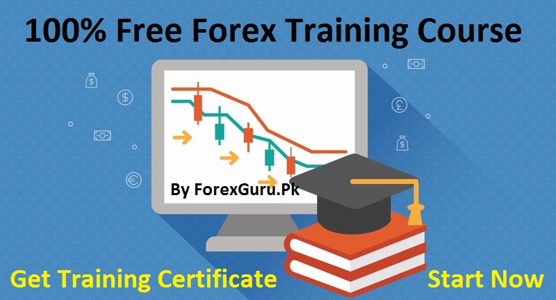 Best forex training course