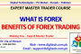 What Is Forex And Benefits Of Forex In Urdu Hindi