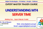 Understanding MT4 Server Time In Urdu Hindi