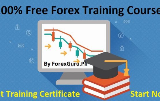 100% Free Forex Training Course