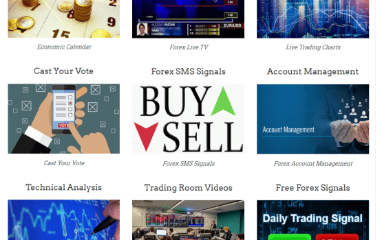 Forex Guru Free Forex Services