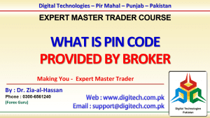 What Is Pin Code In Urdu Hindi