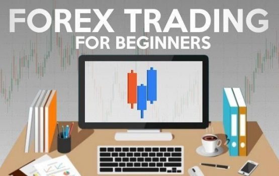 Free Forex Training Courses