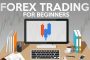 Free Forex Training Courses