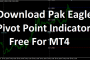 Download Pivot Point Indicator