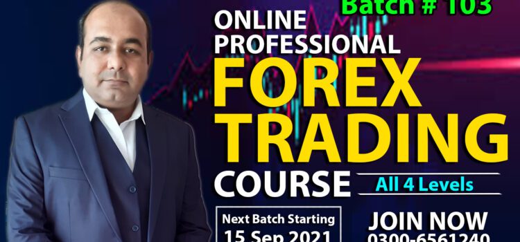 Online Professional Training Course
