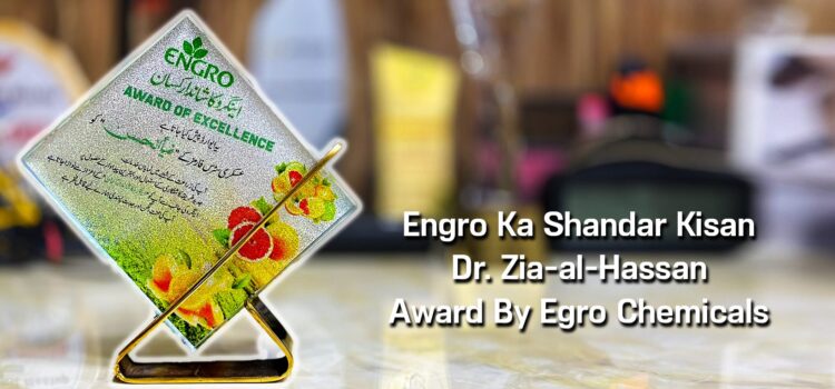 Engro Ka Shandar Kisan Award To Zia-al-Hassan By Exngro Fertilizers.Com For Best Citrus Farming In Area