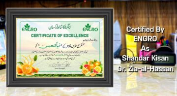 Engro Ka Shandar Kisan Certificate To Zia-al-Hassan By Exngro Fertilizers