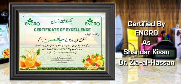 Engro Ka Shandar Kisan Certificate To Zia-al-Hassan By Exngro Fertilizers