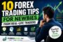 10 Forex Trading Tips for Newbies from Real-Life Traders