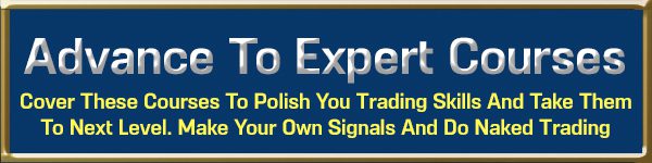 Advance To Experts Courses