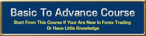 Basic To Advance Course